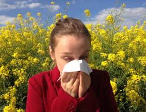 Do You Have Seasonal Allergies in Your Apartment? Here is What to Look for and How to Cope.