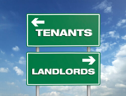 Who Is Responsible For Pest Control, Landlords Or Tenants?